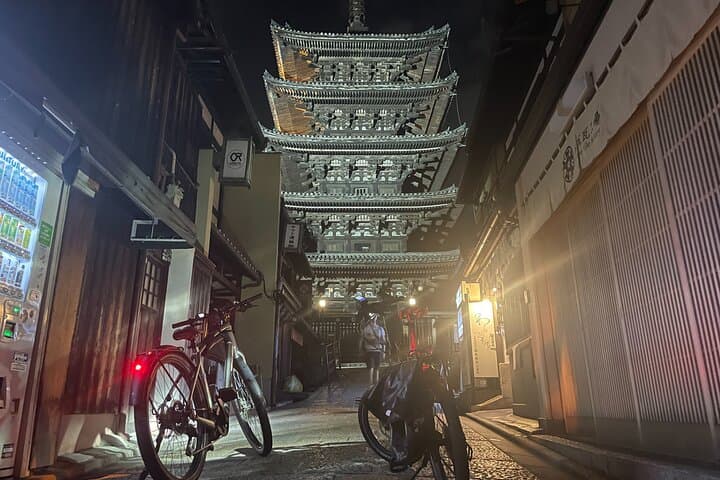 Kyoto E-Bike Rent (Tern Vektron) — photo 6