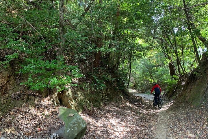 Arashiyama Kinkakuji Quiet Trail E-Bike Tour with Hotel Transfer — photo 6