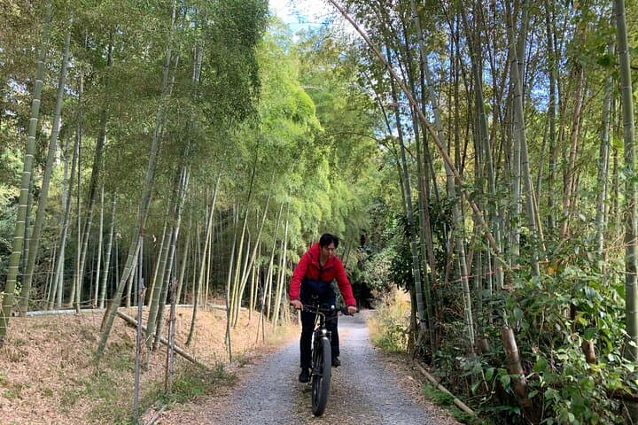 Arashiyama Kinkakuji Quiet Trail E-Bike Tour with Hotel Transfer — photo 9