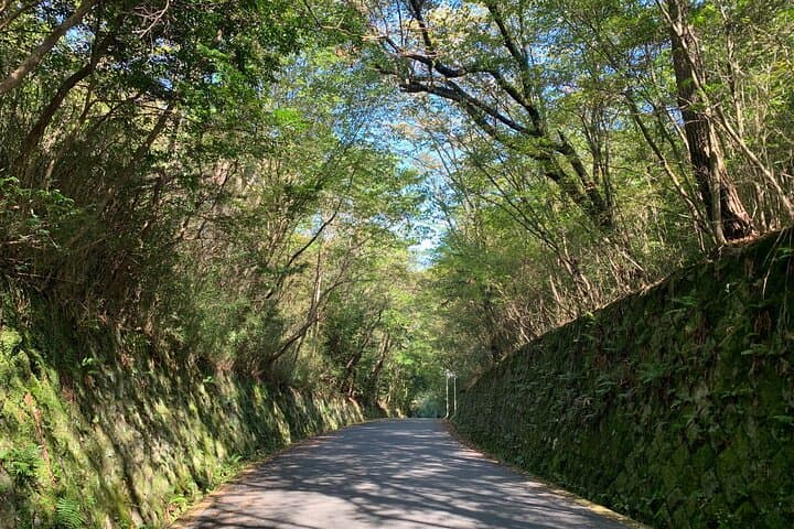Arashiyama Kinkakuji Quiet Trail E-Bike Tour with Hotel Transfer — photo 10