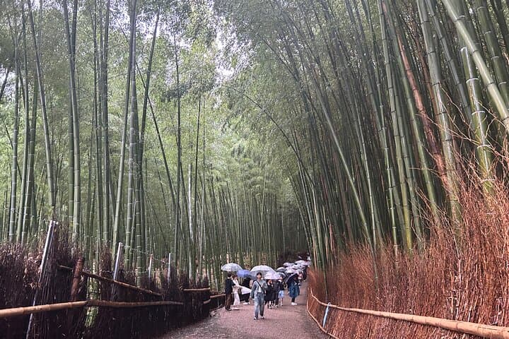 3 Day Japan Highlights Tour: Tokyo, Mt.Fuji, Nara, Kyoto, Osaka — photo 16