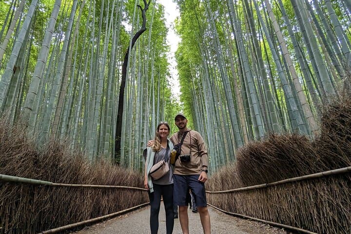 Full day Kyoto Walk in Fushimi, Arashiyama, Monkey, and Kinkakuji — photo 9