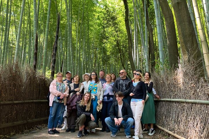 Full day Kyoto Walk in Fushimi, Arashiyama, Monkey, and Kinkakuji — photo 12