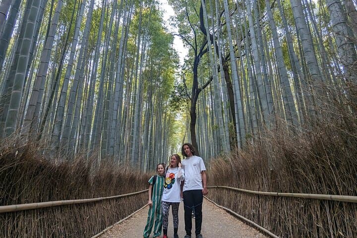 Full day Kyoto Walk in Fushimi, Arashiyama, Monkey, and Kinkakuji — photo 15