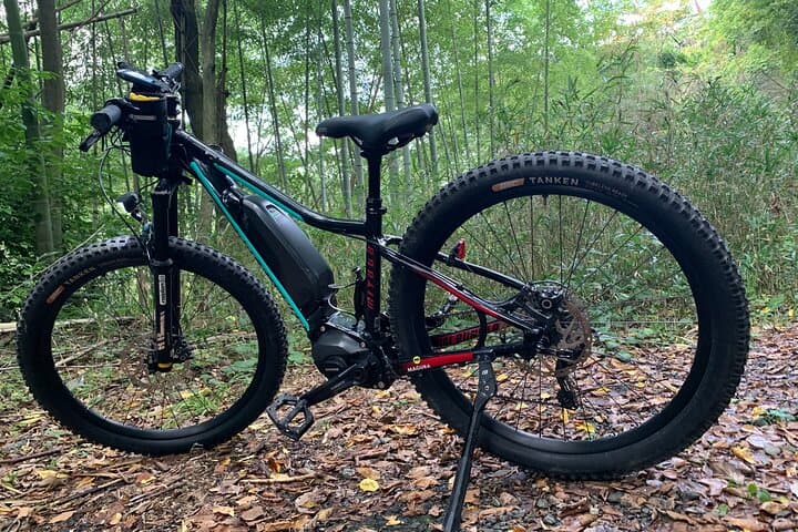 Arashiyama Kinkakuji Quiet Trail E-Bike Tour with Hotel Transfer — photo 14