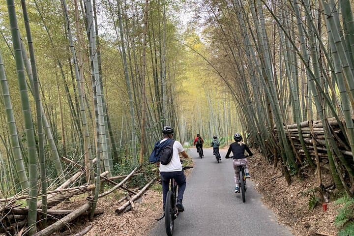 Kyoto Gion & Fushimi E-Bike Tour with Hotel Transfer — photo 3