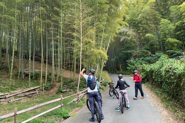 Kyoto Gion & Fushimi E-Bike Tour with Hotel Transfer — photo 7