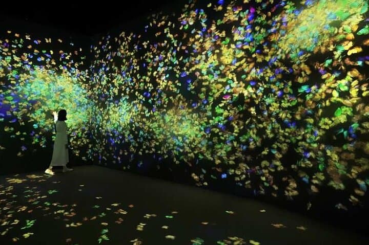 teamLab Forest Fukuoka an Immersive Art Experience Ticket — photo 3