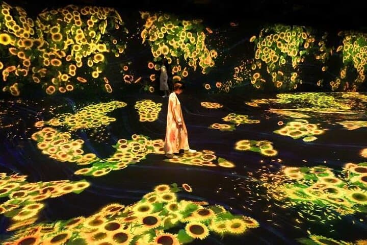 teamLab Forest Fukuoka an Immersive Art Experience Ticket — photo 4