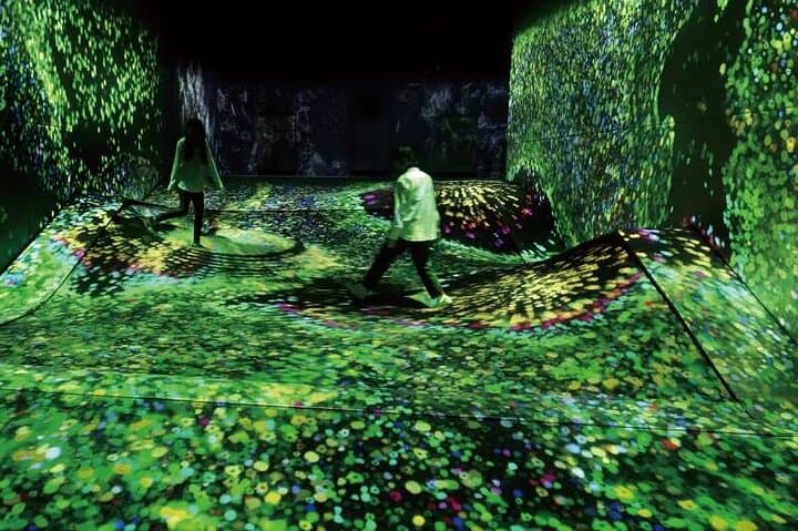 teamLab Forest Fukuoka an Immersive Art Experience Ticket — photo 5