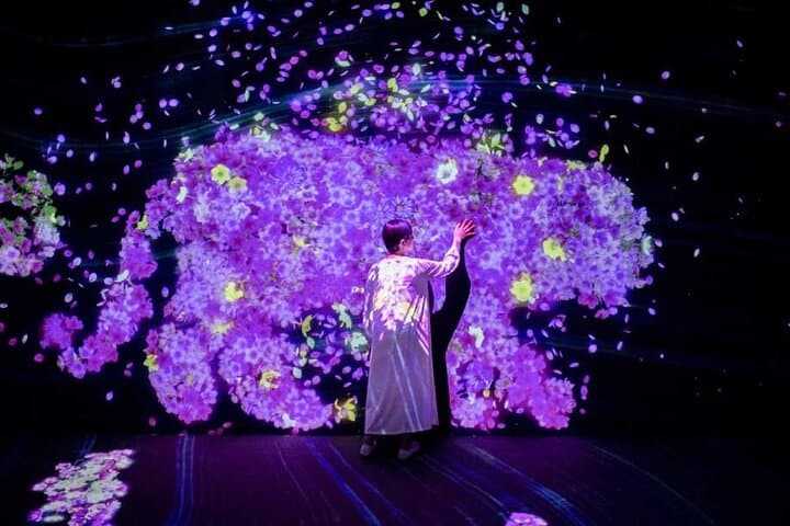 teamLab Forest Fukuoka an Immersive Art Experience Ticket — photo 6