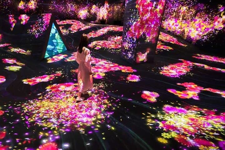 teamLab Forest Fukuoka an Immersive Art Experience Ticket — photo 7
