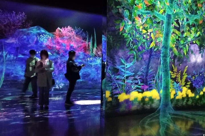 teamLab Forest Fukuoka an Immersive Art Experience Ticket — photo 2