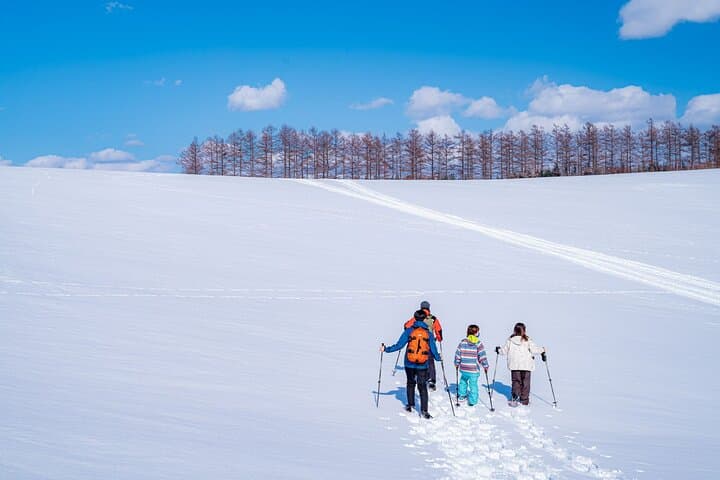 Private Scenic Hills Snowshoeing in Biei — photo 3