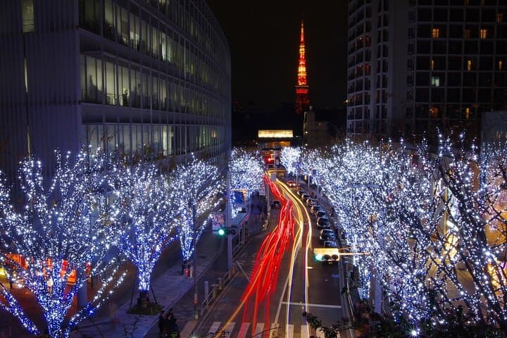 Walk Tokyo's Streets with Tokyo Midtown Tour — photo 1