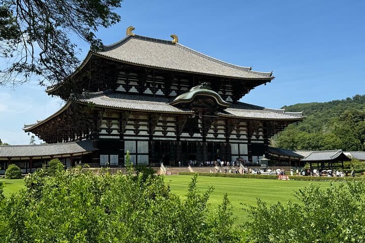 Nara: Half-Day Private Tour of 4 Must-See Spots & Deer Park — photo 8