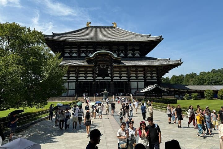 Nara: Half-Day Private Tour of 4 Must-See Spots & Deer Park — photo 12