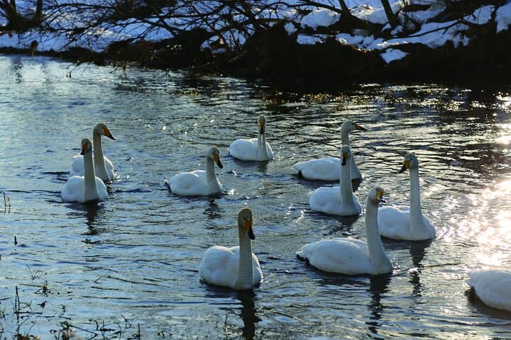 Tokachi Winter River Cruising — photo 8