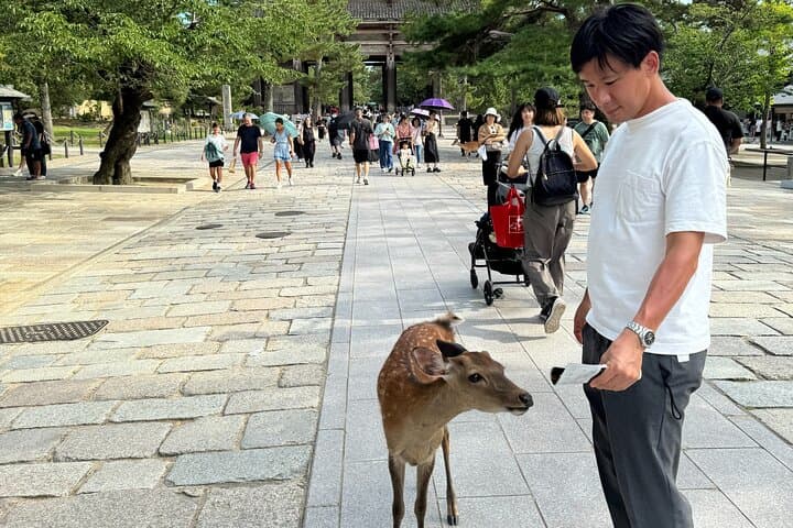 Nara: Half-Day Private Tour of 4 Must-See Spots & Deer Park — photo 15