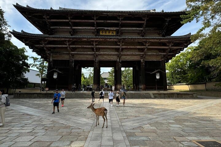 Nara: Half-Day Private Tour of 4 Must-See Spots & Deer Park — photo 16