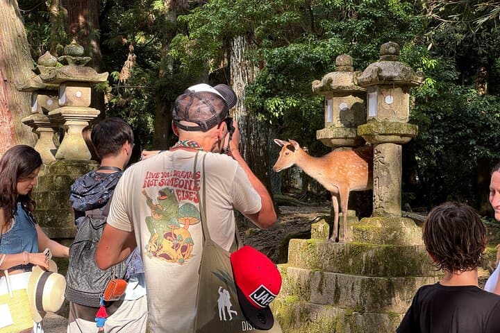 Nara: Half-Day Private Tour of 4 Must-See Spots & Deer Park — photo 10