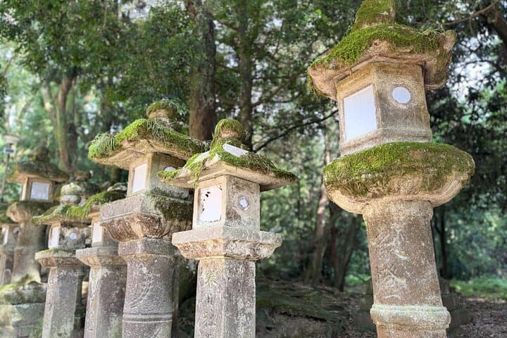Nara: Half-Day Private Tour of 4 Must-See Spots & Deer Park — photo 20