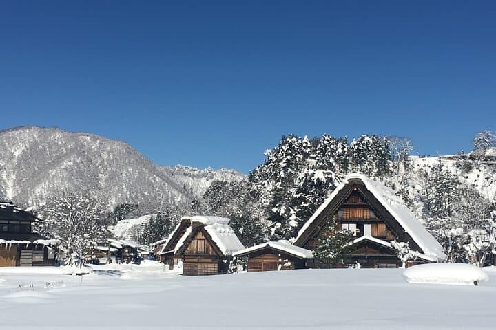 [One-day bus tour departing from Kanazawa Station] Shirakawa-go/Takayama tour platinum route bus tour — photo 9