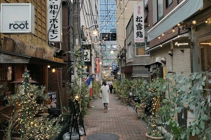 Dynamic Tokyo Private Custom Walking Tour — photo 17