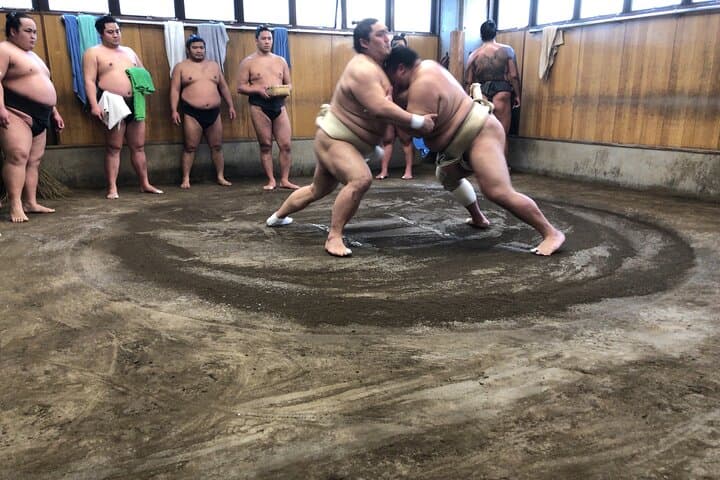 Tokyo Sumo Morning Practice Tour w/ Ring-Side Seat + Photo Shoot — photo 13