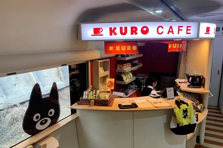 Kyushu Day Tour:Aso Boy Scenic Train, Aso Volcano,Kumamoto Castle — photo 2