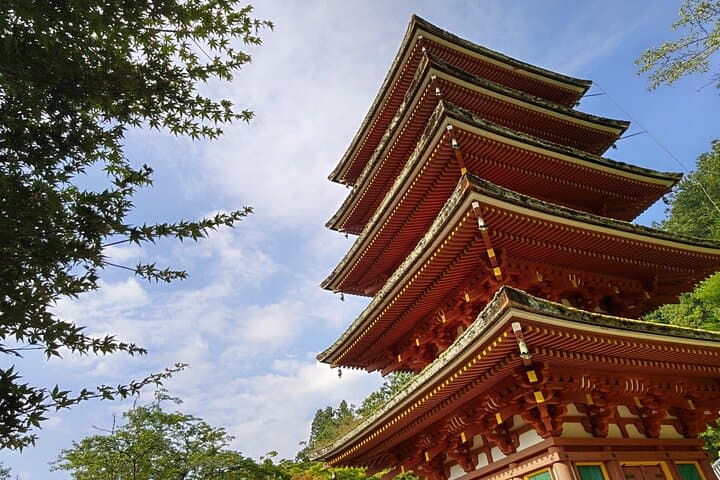 Relaxed Nara tour from Kyoto Hasedera and Muroji Temples — photo 2
