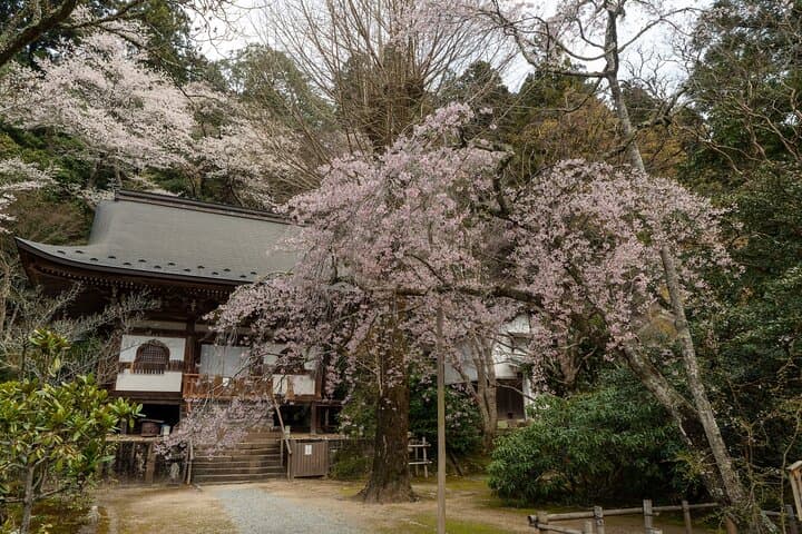 Relaxed Nara tour from Kyoto Hasedera and Muroji Temples — photo 3