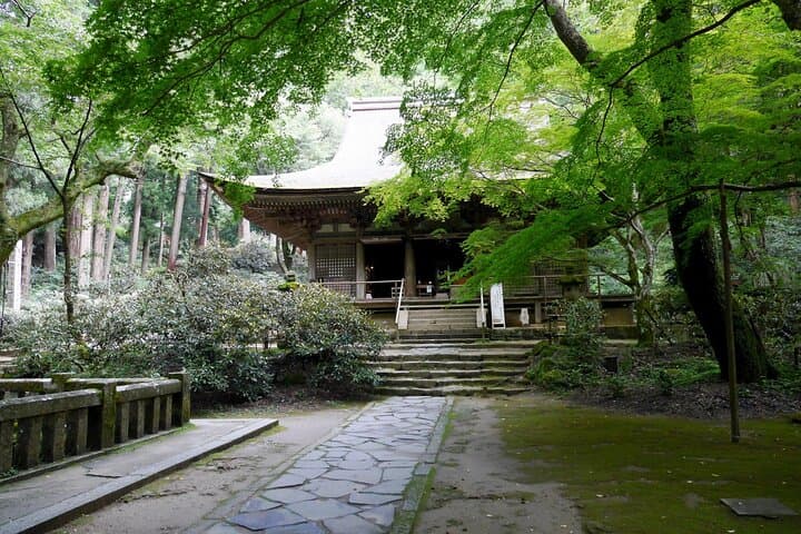 Relaxed Nara tour from Kyoto Hasedera and Muroji Temples — photo 7