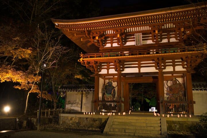 Relaxed Nara tour from Kyoto Hasedera and Muroji Temples — photo 8