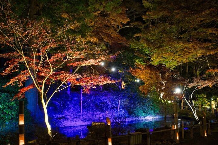 Relaxed Nara Tour from Osaka: Hasedera and Muroji Temples — photo 9