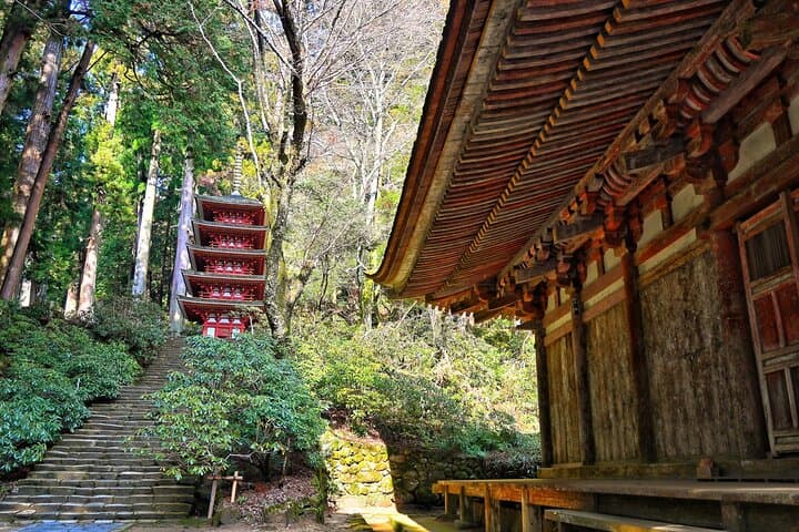 Relaxed Nara Tour from Osaka: Hasedera and Muroji Temples — photo 10