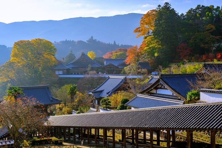 Relaxed Nara tour from Kyoto Hasedera and Muroji Temples — photo 4