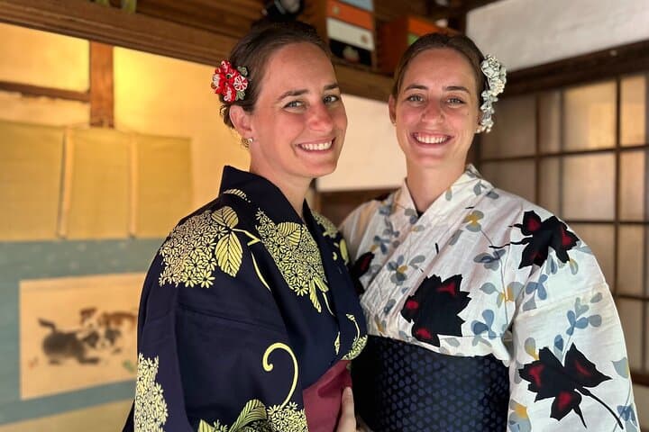 A Unique Antique Kimono and Tea ceremony Experience in English — photo 19
