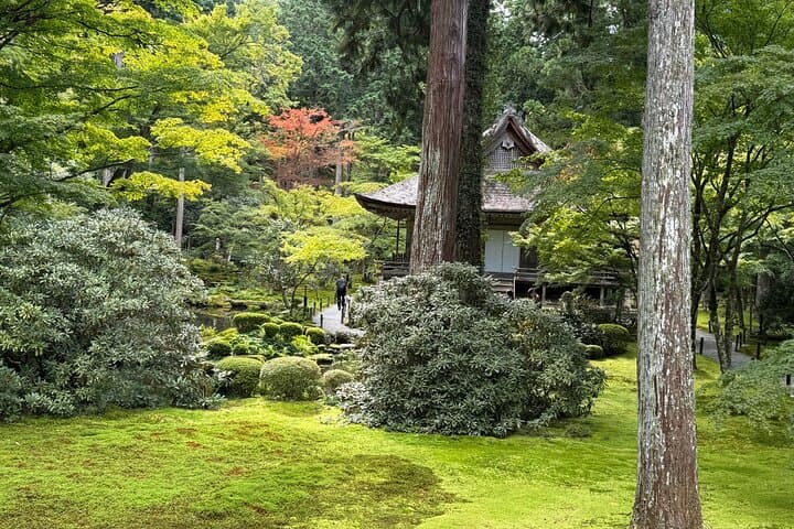 Kyoto: The Hidden Sanctuary of Sanzen-in Temple — photo 9