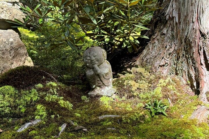 Kyoto: The Hidden Sanctuary of Sanzen-in Temple — photo 15