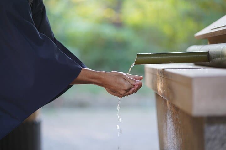 Private Meiji Shrine Tour: Exclusive VIP Guide — photo 19