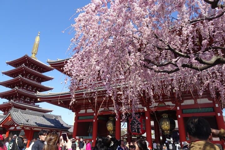 Private Tokyo with Exceptional Guide Tailored to Your Needs — photo 1