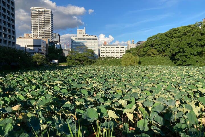 Fukuoka City Walking and Public Transport Tour — photo 8