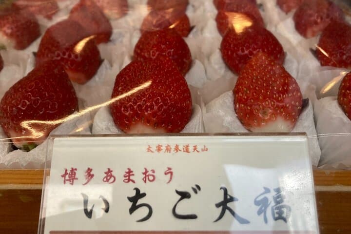 Fukuoka City Walking and Public Transport Tour — photo 16