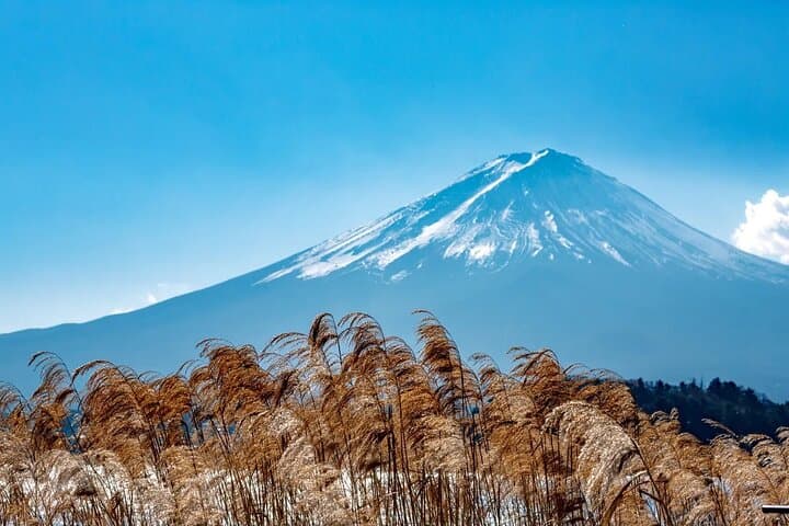 Arakurayama Park Mt. Fuji, Oshino Hakkai, Classic Mt. Fuji Tour — photo 8