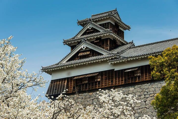 Private Mount Aso and Kumamoto Castle Day Trip from Fukuoka — photo 10