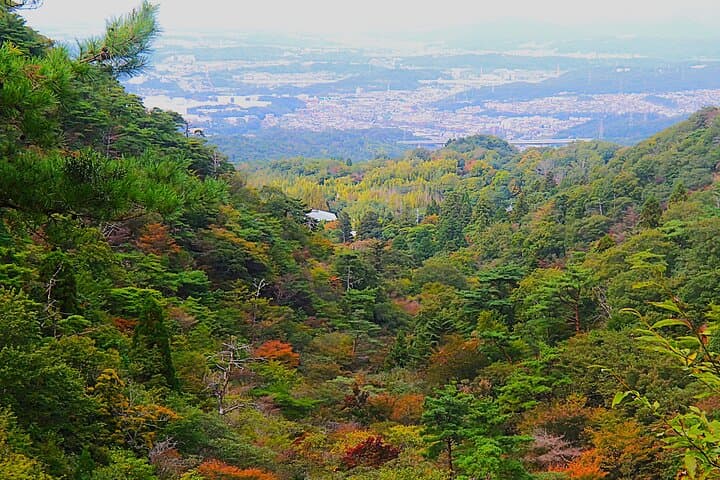 Private Historic Road Hike in the Healing Forest of Arima — photo 7