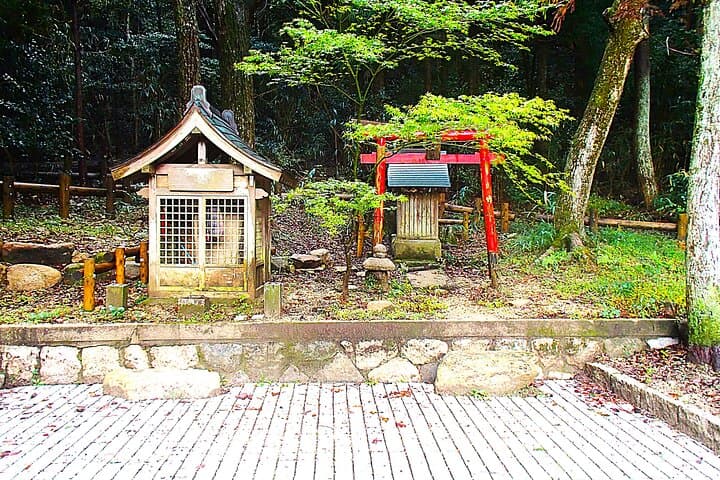 Private Historic Road Hike in the Healing Forest of Arima — photo 4