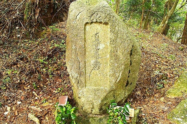 Private Historic Road Hike in the Healing Forest of Arima — photo 8