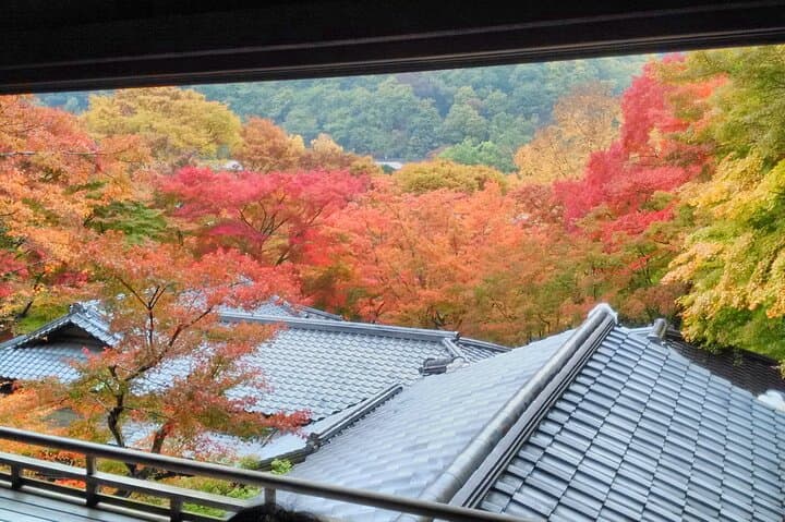 Private Kyoto with Exceptional Guide Tailored to Your Needs — photo 16